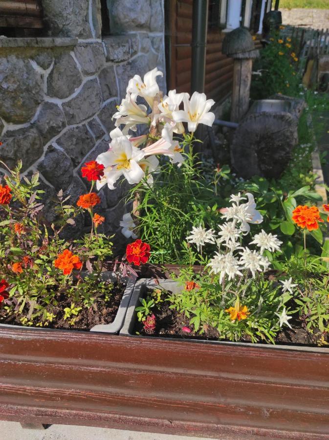 Bed and Breakfast Smucarska Koca Kotlje Екстер'єр фото