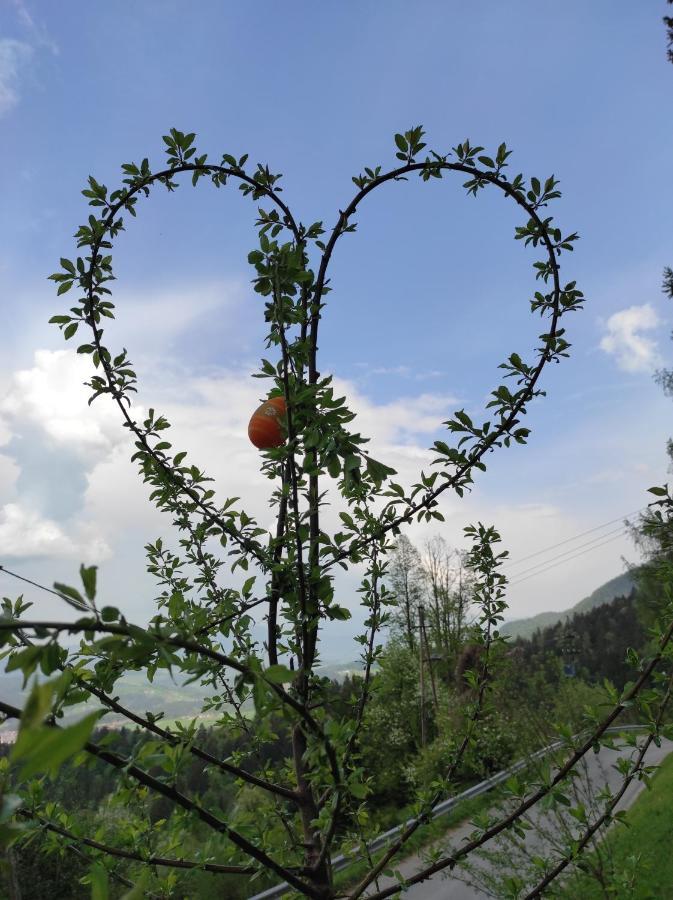 Bed and Breakfast Smucarska Koca Kotlje Екстер'єр фото